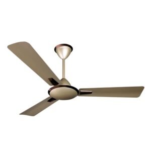 CEILING FANS HoumeIndia