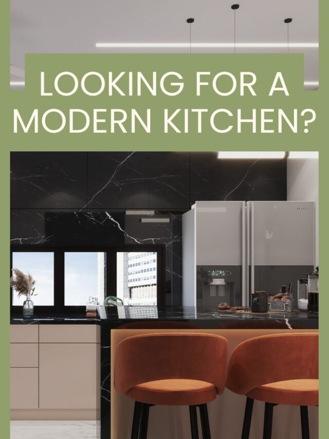 Looking for a modern kitchen