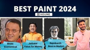 best paint in India