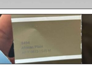 African Plain code