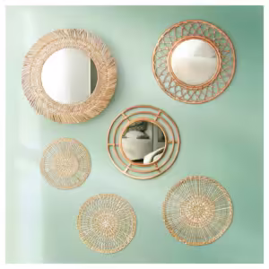 tropical vibes HoumeIndia