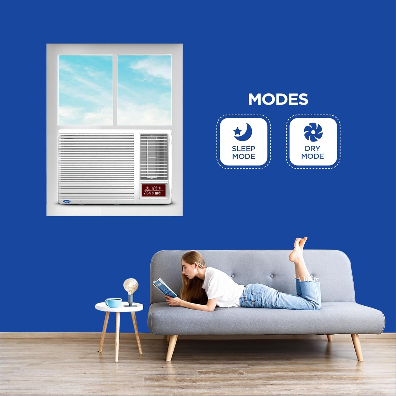 Carrier 1.5 Ton, 5 Star Inverter (CIW18SC5R32F0) - Jethalal